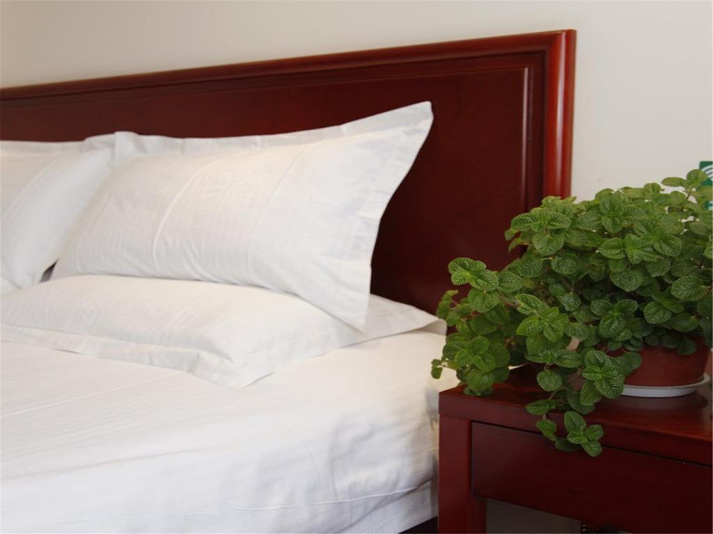 Greentree Inn Shanghai Dongming Road Subway Station Express Hotel Exteriör bild